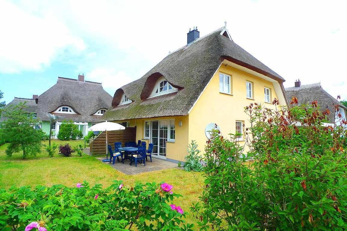 Ferienhaus An Der Alten Waldschaenke Ws-11A Борн Екстериор снимка